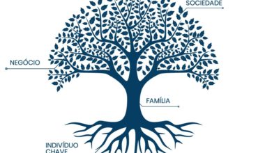 Diversificação dos negócios em empresas familiares. Por Cícero Rocha